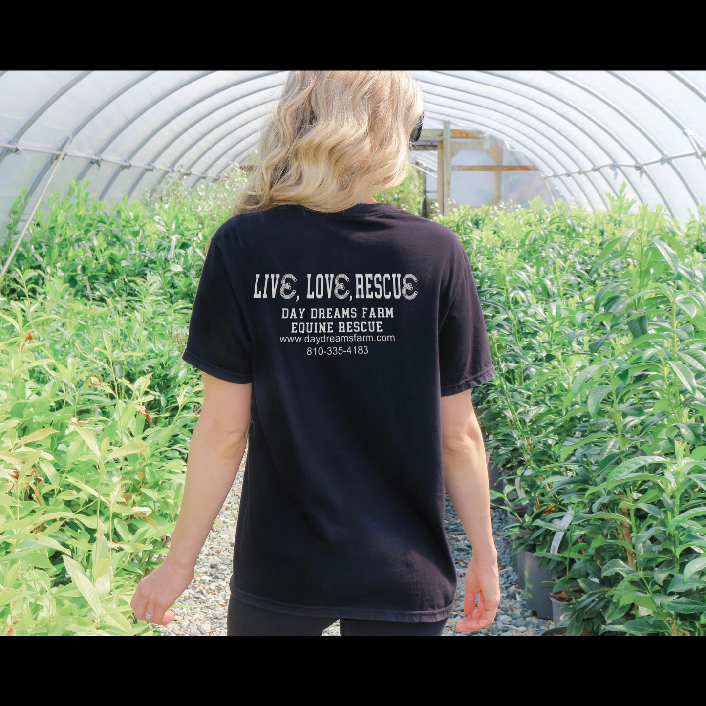 Day Dreams Farm Horses T-Shirt