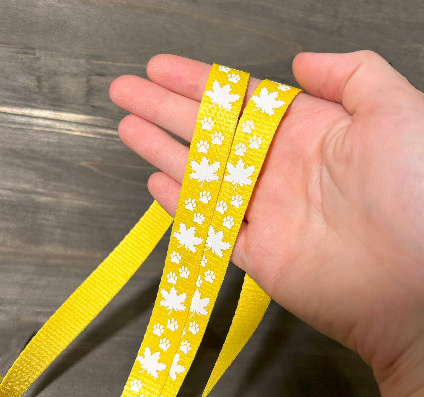 Fall Leaves & Pawprint Breakaway Lanyard